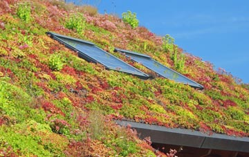 Sutton Wick living roof systems