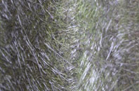 Sutton Wick fibreglass roof work